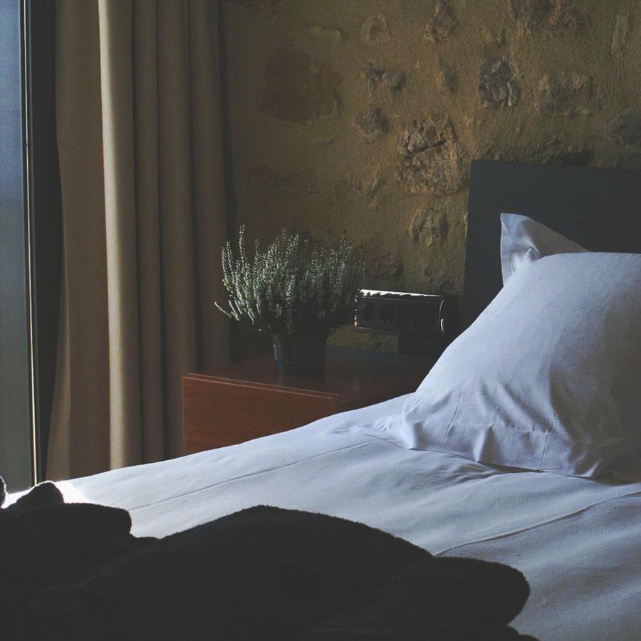 Hotel Mas Oliveres Pla De Palau Llers Екстериор снимка